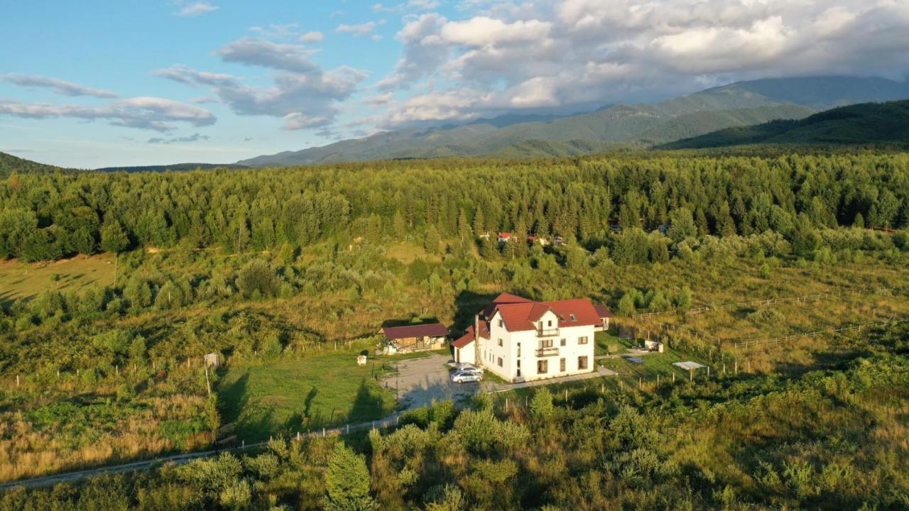 Pensiunea Ivoire Avrig Esterno foto