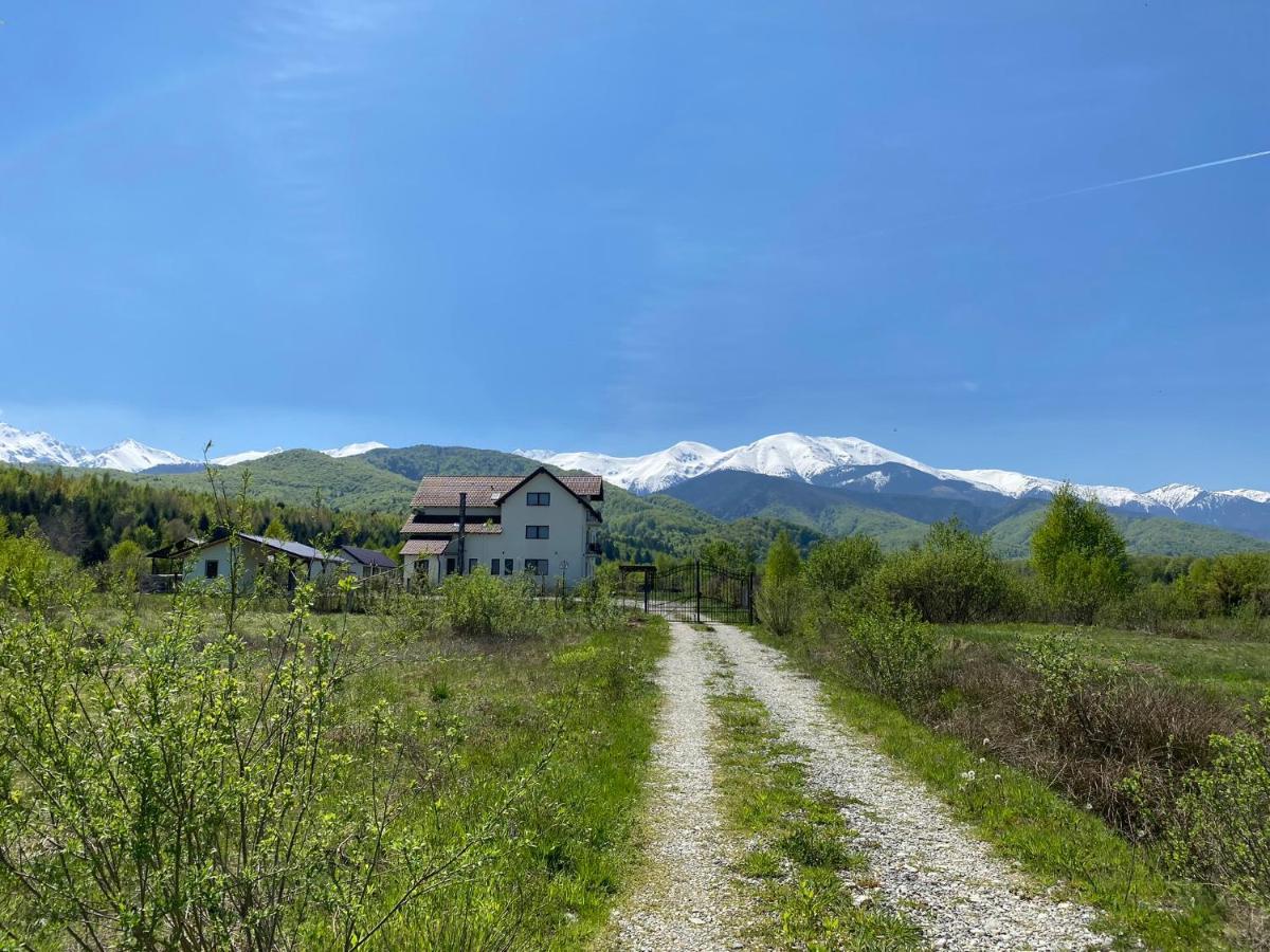 Pensiunea Ivoire Avrig Esterno foto